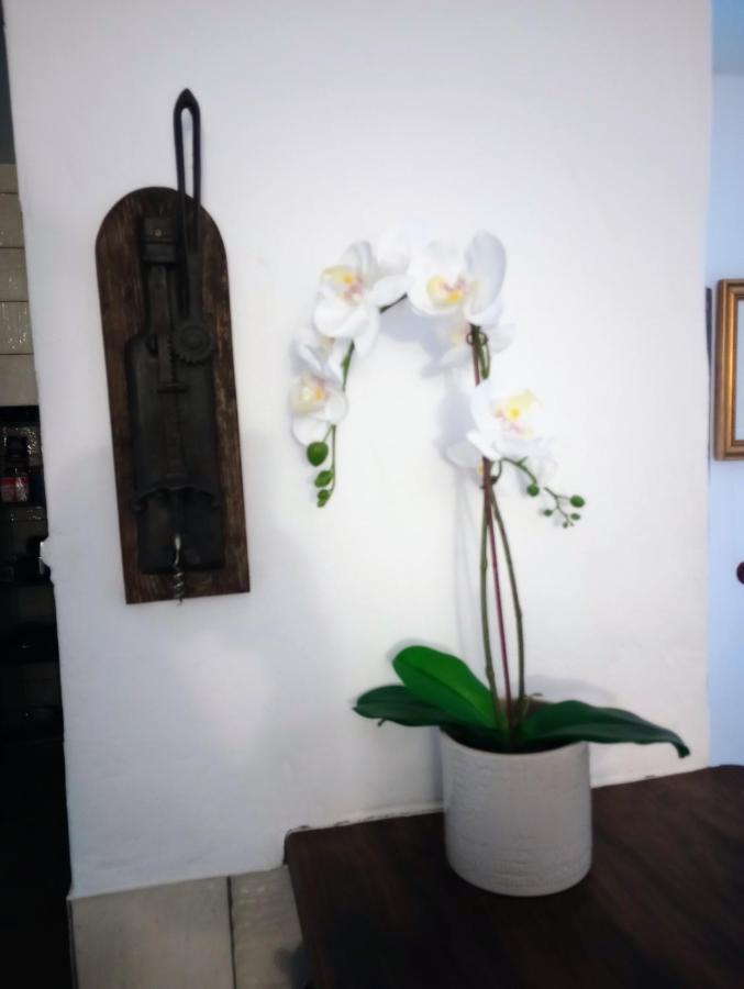 Casa Jaruf Centro Historico Parking Gratuito Patio Petfriendly Apartment Аркос де ла Фронтера Екстериор снимка